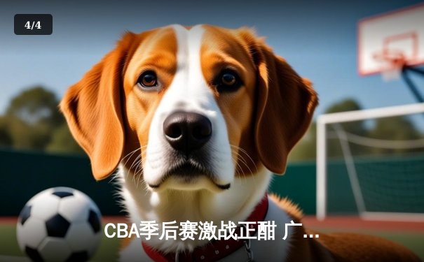 CBA季后赛激战正酣 广东加时逆转辽宁夺赛点 - 4